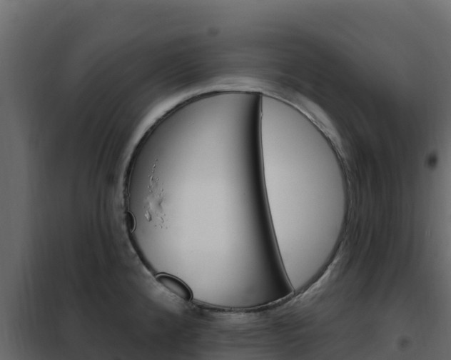 X0000102491192200808081049