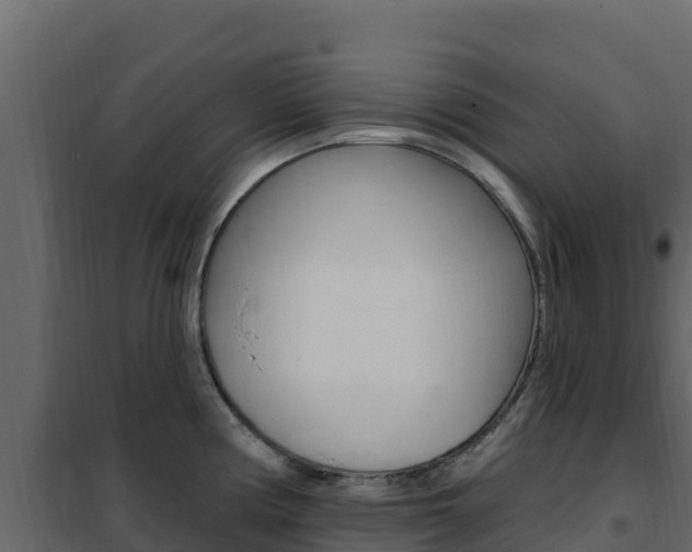 X0000102491194200808081049