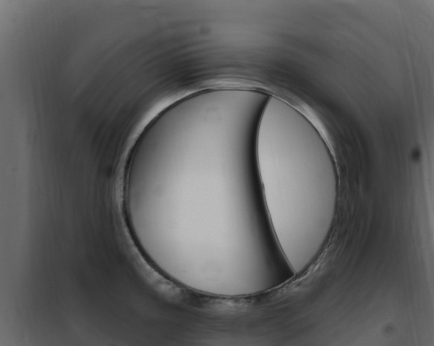 X0000102491195200808081049