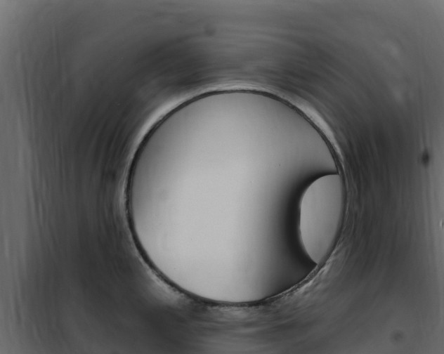 X0000102491197200808081049