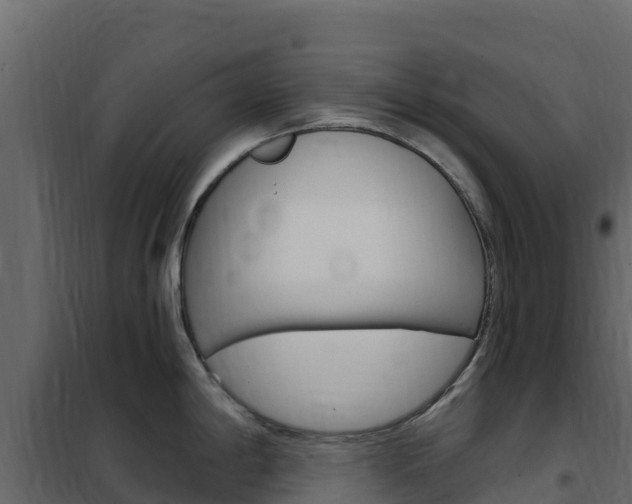 X0000102491198200808081049