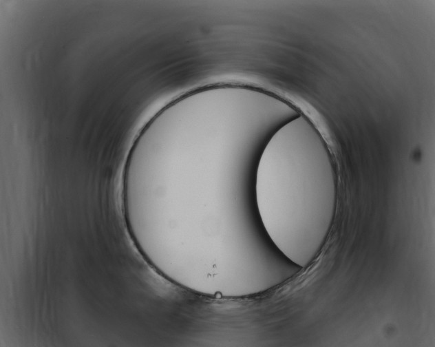 X0000102491199200808081049