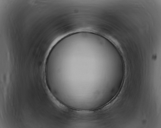 X0000102491200200808081049