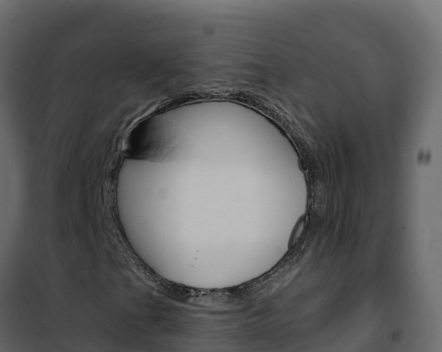 X0000102491201200808081048