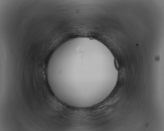 X0000102491202200808081048