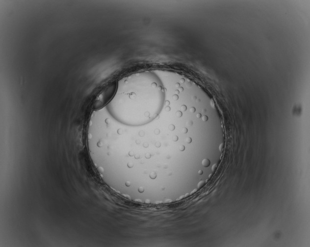 X0000102491205200808081048