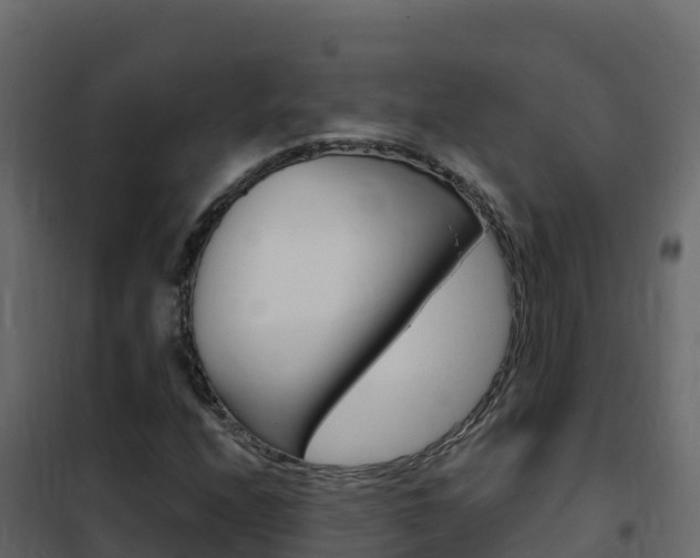 X0000102491208200808081048