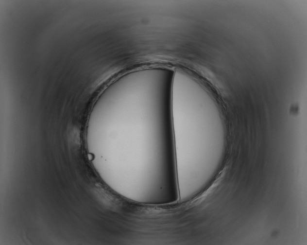 X0000102491209200808081048