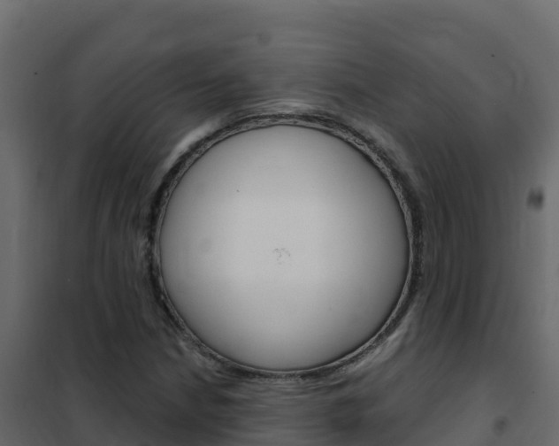 X0000102491210200808081048