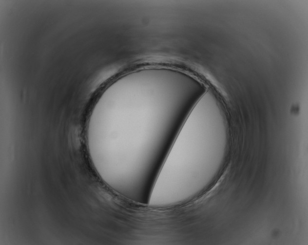 X0000102491213200808081048