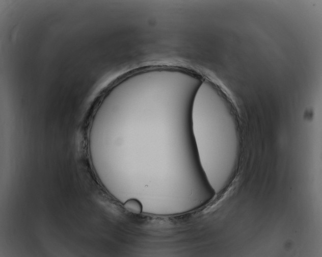 X0000102491215200808081048