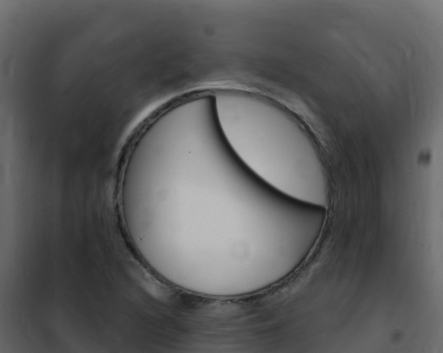 X0000102491216200808081048