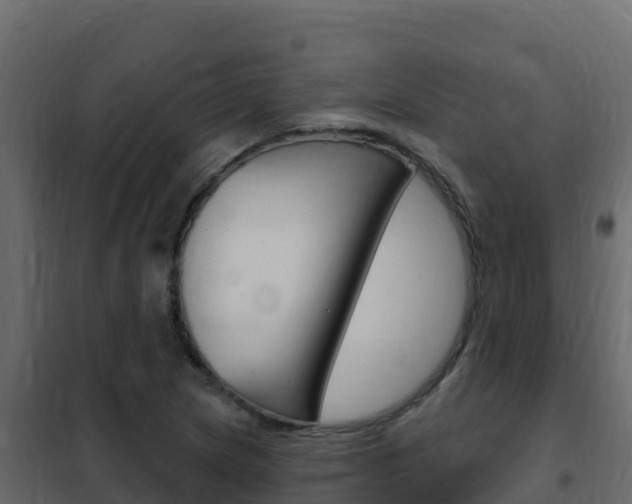 X0000102491217200808081048