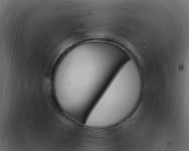 X0000102491218200808081048