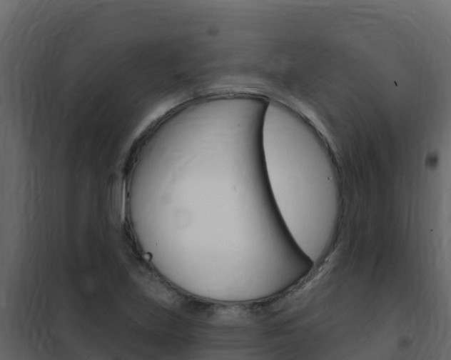 X0000102491219200808081048