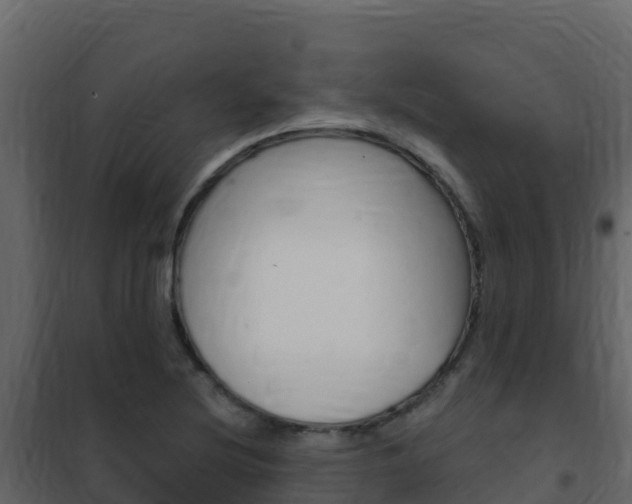 X0000102491220200808081048
