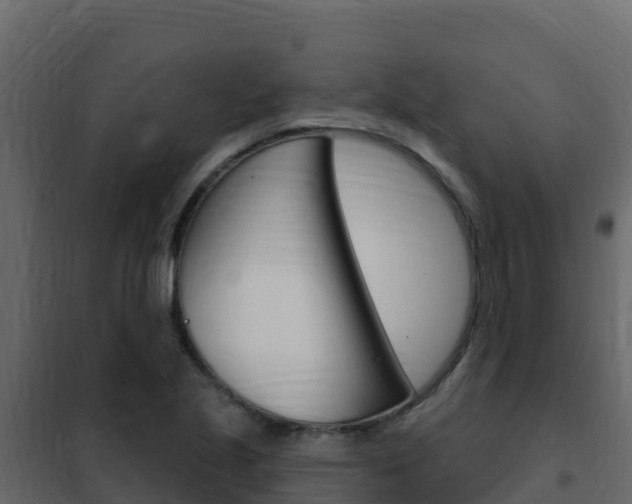 X0000102491221200808081048