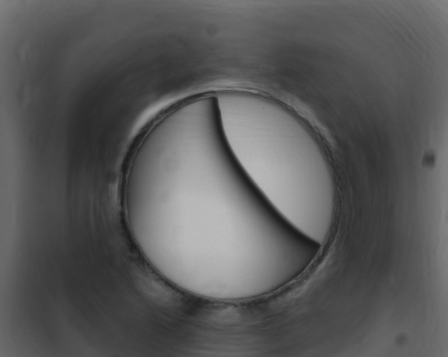 X0000102491222200808081048