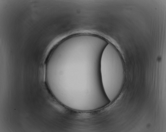 X0000102491223200808081048