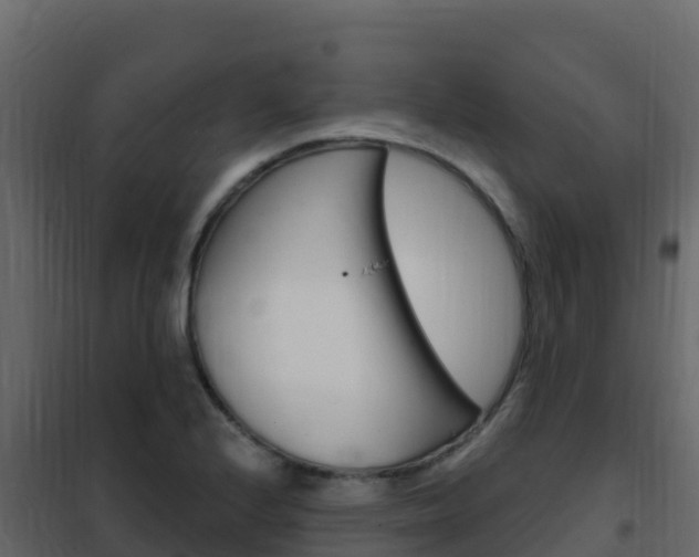 X0000102491224200808081048
