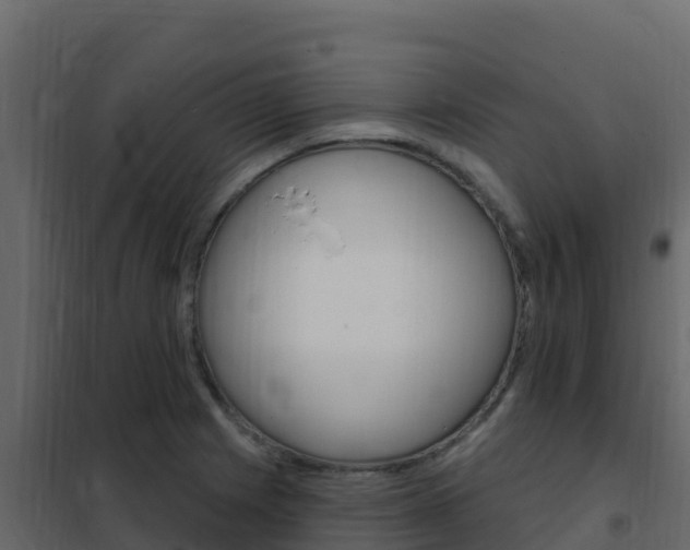 X0000102491225200808081048