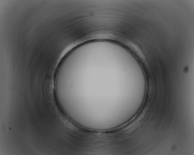 X0000102491226200808081048
