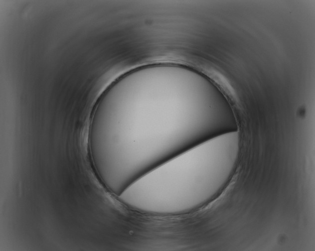 X0000102491228200808081048