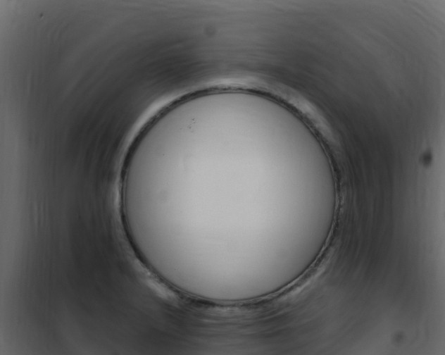 X0000102491232200808081048