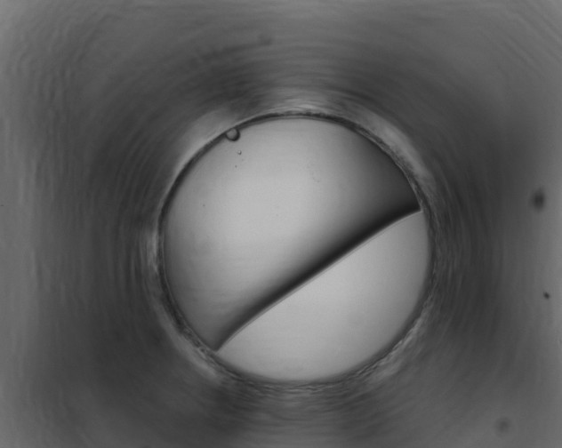 X0000102491234200808081048