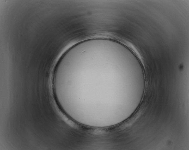 X0000102491235200808081048