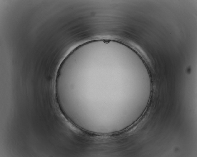 X0000102491236200808081048
