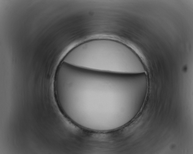X0000102491237200808081049