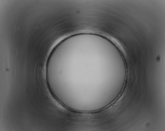 X0000102491238200808081049