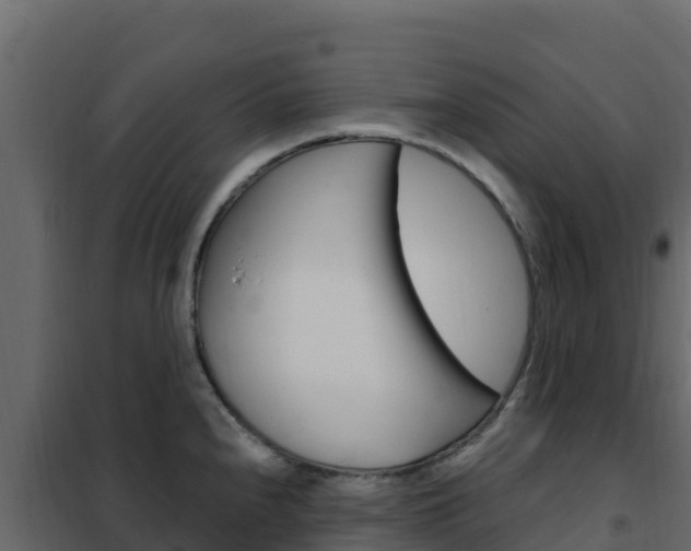 X0000102491240200808081049