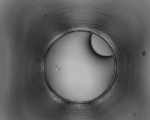X0000102491241200808081049