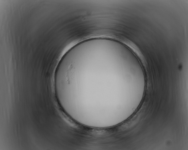 X0000102491242200808081049