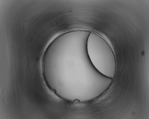 X0000102491243200808081049