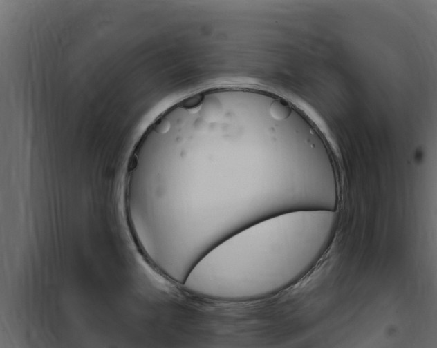 X0000102491245200808081049