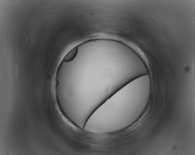 X0000102491247200808081049
