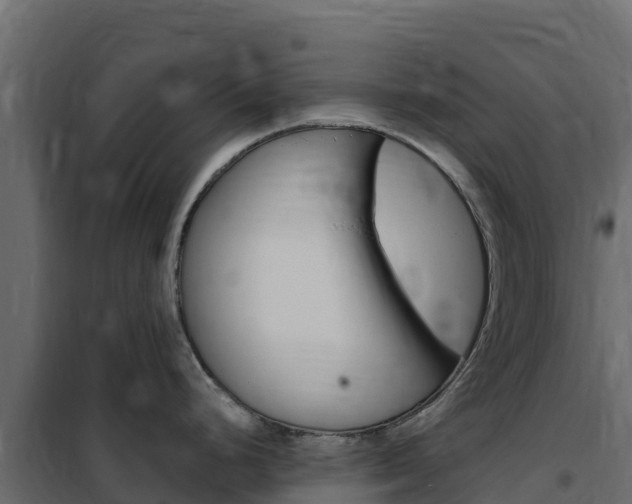 X0000102491248200808081049