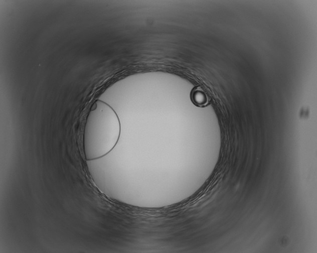 X0000102491249200808081048