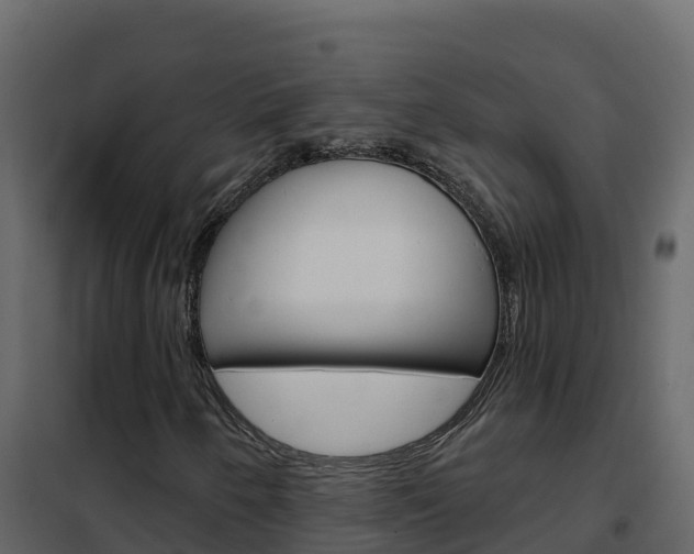 X0000102491250200808081048