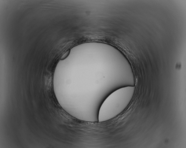 X0000102491251200808081048