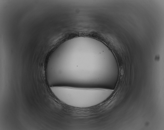 X0000102491252200808081048
