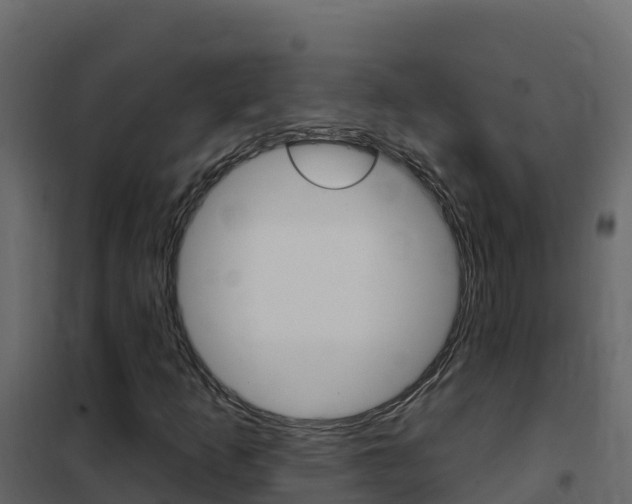 X0000102491253200808081048