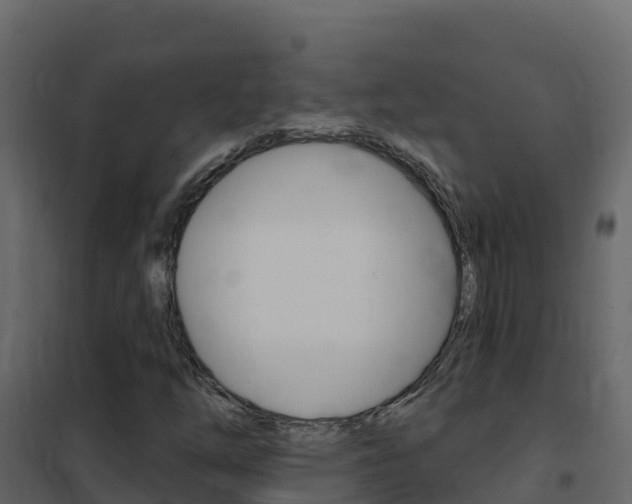 X0000102491254200808081048