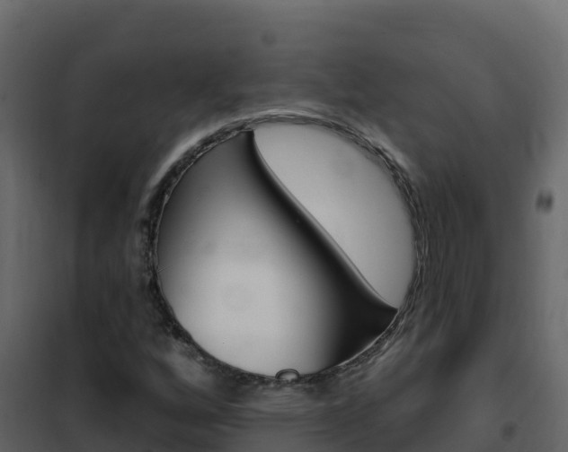 X0000102491256200808081048