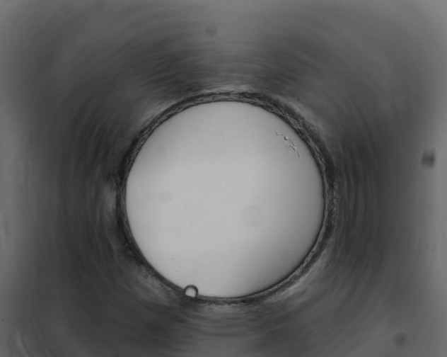 X0000102491257200808081048