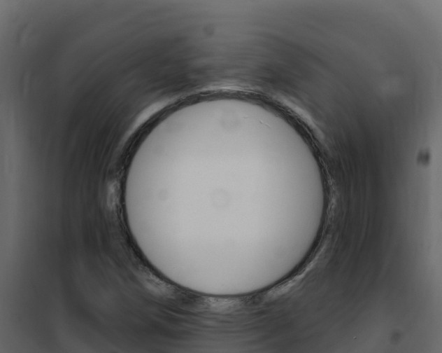 X0000102491258200808081048