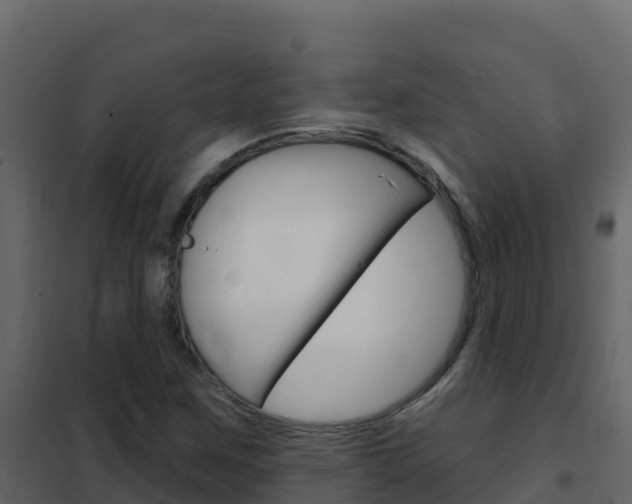 X0000102491259200808081048